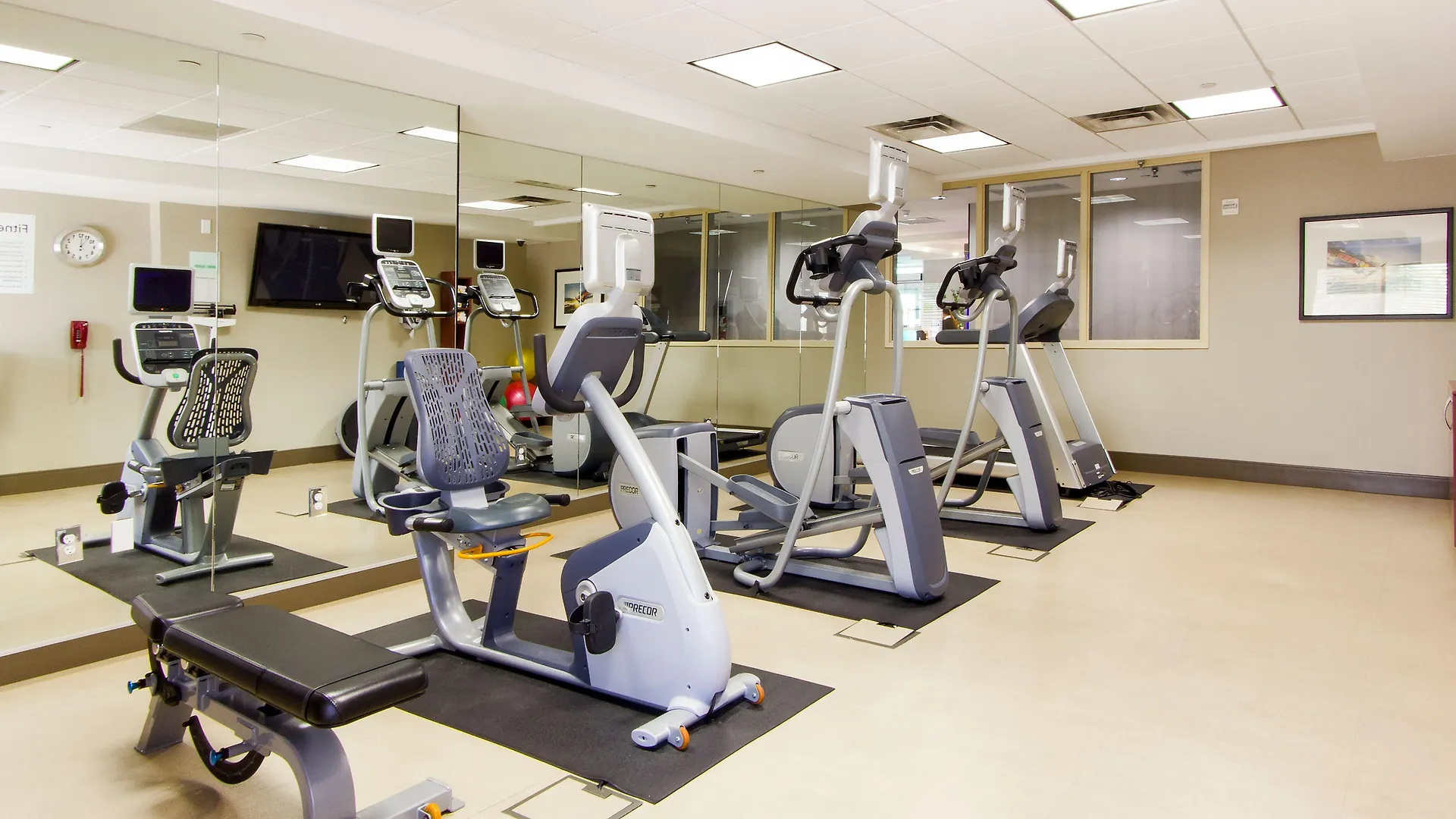 Hotel Holiday Inn Scottsdale North- Airpark By Ihg