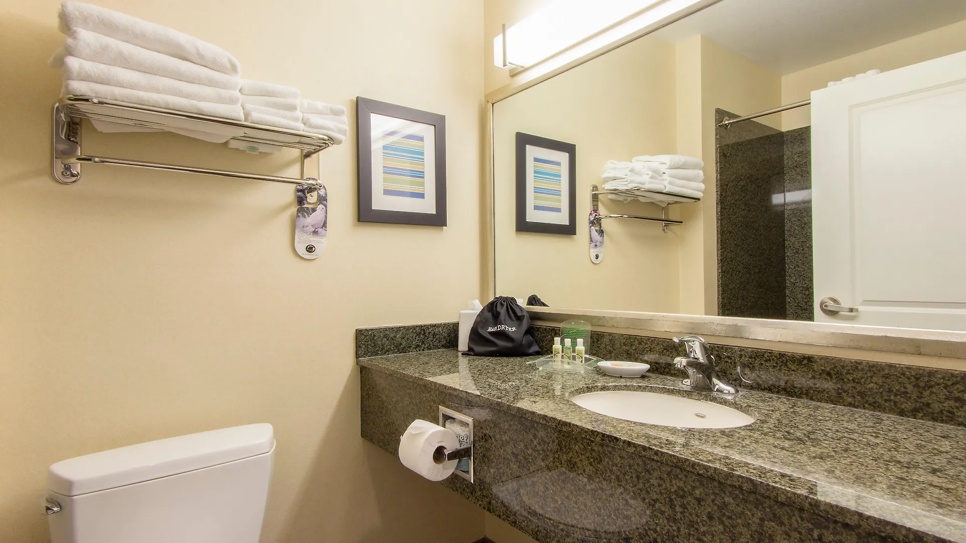 Holiday Inn Scottsdale North- Airpark By Ihg 3*,