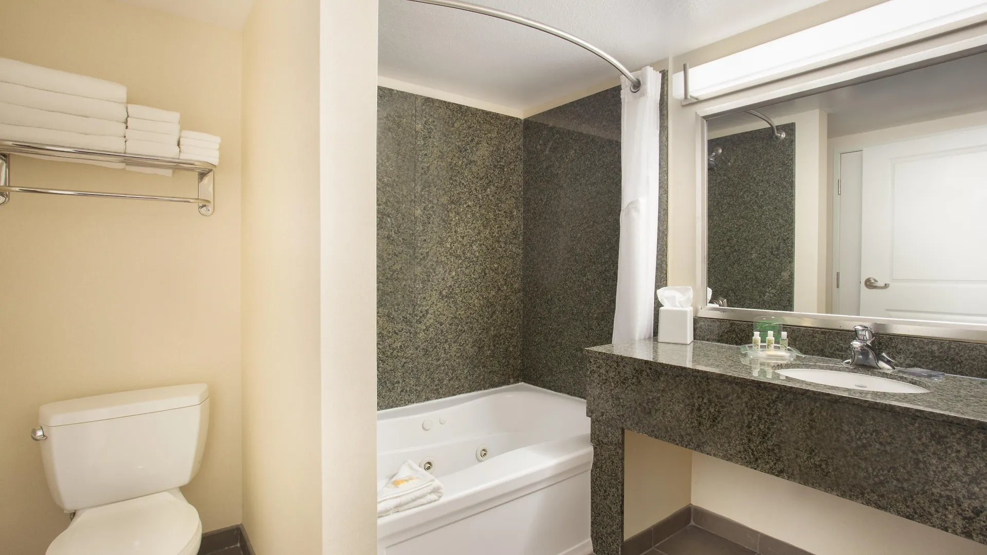 Holiday Inn Scottsdale North- Airpark By Ihg
